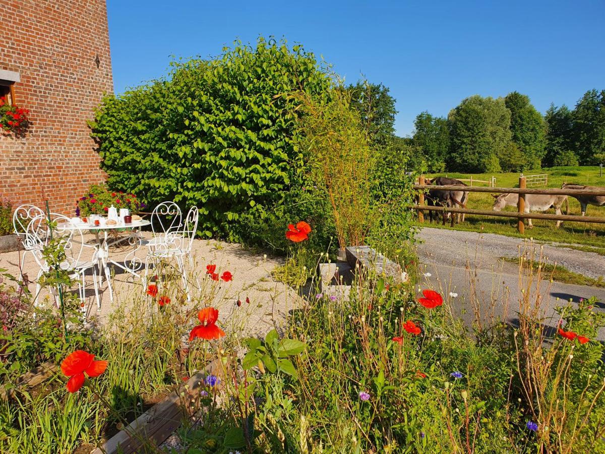 Bed and Breakfast Les Mout'Anes Saint-Hilaire-sur-Helpe Экстерьер фото