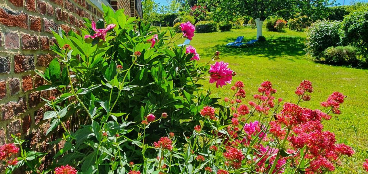 Bed and Breakfast Les Mout'Anes Saint-Hilaire-sur-Helpe Экстерьер фото
