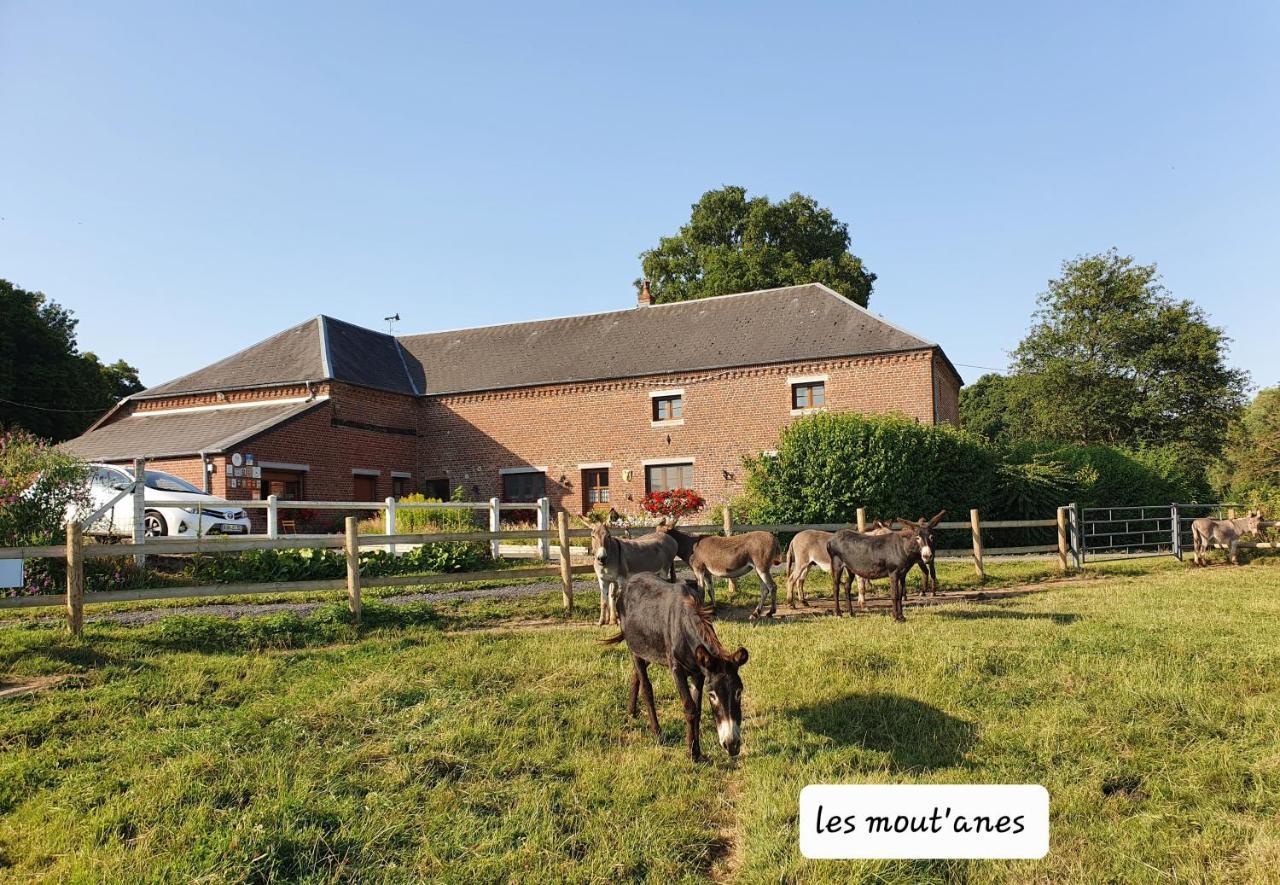 Bed and Breakfast Les Mout'Anes Saint-Hilaire-sur-Helpe Экстерьер фото