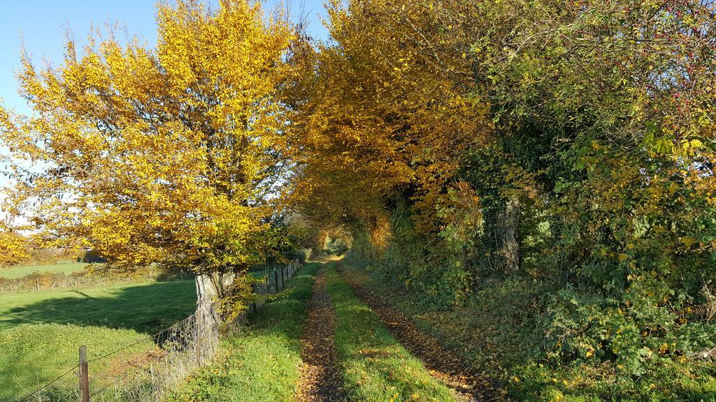 Bed and Breakfast Les Mout'Anes Saint-Hilaire-sur-Helpe Экстерьер фото
