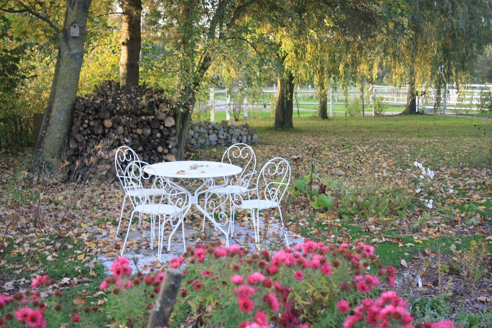 Bed and Breakfast Les Mout'Anes Saint-Hilaire-sur-Helpe Экстерьер фото