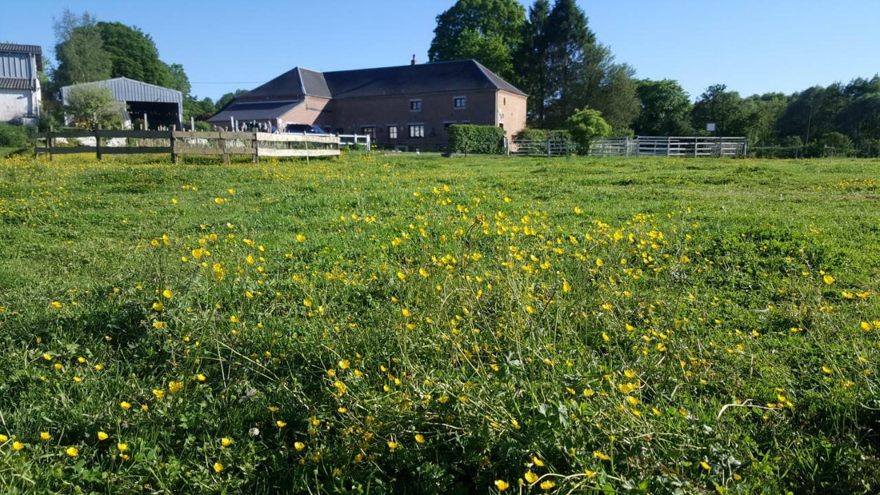 Bed and Breakfast Les Mout'Anes Saint-Hilaire-sur-Helpe Экстерьер фото